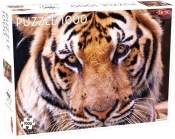 Puzzle Tygrys 1000