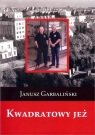 Kwadratowy jeż Garbaliński Janusz