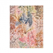 Notes Anemone Ultra Linia