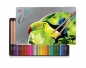 Kredki ołówkowe Colorino Artist, 36 kolorów (83270)
