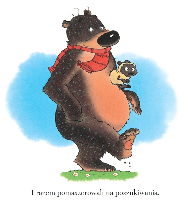 <img src='https://webimage.pl/pics/270/4/d9788324174270---1.jpg'>