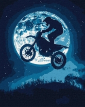 Malowanie po numerach - Nocny szał 40x50cm