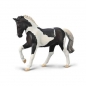 COLLECTA OGIER CIEPŁOKRWISTY CZARNY TOBIANO