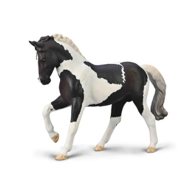 COLLECTA OGIER CIEPŁOKRWISTY CZARNY TOBIANO