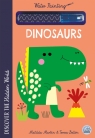 Hidden World - Water Painting Dinosaurs Matilda Martin
