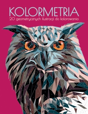 Kolormetria. 20 geometrycznych ilustracji do kolorowania - Jack Clucas (ilustr.)