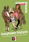 Gra Kucykowe historie 8+