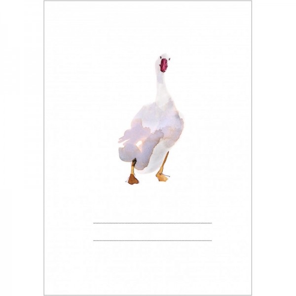 <img src='https://webimage.pl/pics/271/4/d46668-thickbox.jpg'>