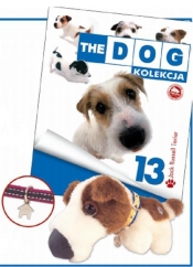 Dog Kolekcja 13 Jack Russell Terrier - <br />