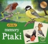 Ptaki - Adamigo memory (07271) Wiek: 3+