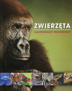 Zwierzęta Ilustrowany przewodnik (Uszkodzona okładka) - Opracowanie zbiorowe