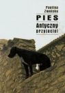 Pies. Antyczny przyjaciel Paulina Zwolska