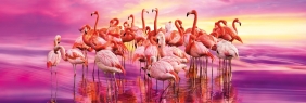 Clementoni, puzzle Panorama High Quality Collection 1000: Flamingo Dance (39427) - Praca zbiorowa
