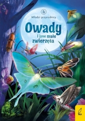 Młodzi przyrodnicy. Owady i inne małe zwierzęta - Emily Bone, Zarawska Patrycja 