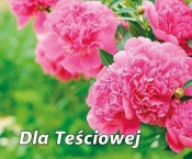 Perełka 269 Dla teściowej - Opracowanie zbiorowe