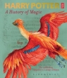 Harry Potter - A History of Magic British Library