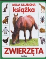 Moja ulubiona książka. Zwierzęta