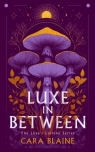 Luxe in Between: A Slow-Burn Why Choose Romantasy Trilogy Cara Blaine