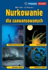 Nurkowanie dla zaawansowanych Orientacja podczas nurkowania, Nurkowanie w Scheyer Werner