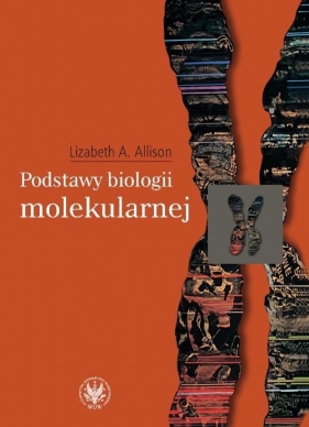 Podstawy biologii molekularnej - Lizabeth A. Allison