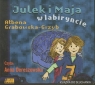 Julek i Maja w labiryncie Grabowska-Grzyb Ałbena