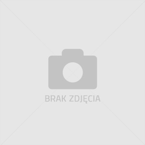 PUZZLE 72 DINOZAURY (121274)