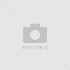 PUZZLE 72 DINOZAURY (121274)