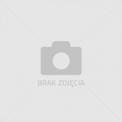 PUZZLE 72 DINOZAURY (121274)