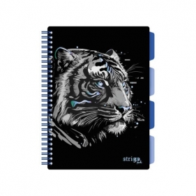 Kołozeszyt Strigo Pads Project Book B5 linia - Tygrys