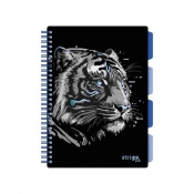 Kołozeszyt Strigo Pads Project Book B5 linia - Tygrys