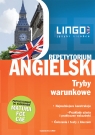 AngielskiRepetytorium Tryby warunkowe Anna Treger