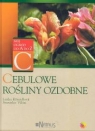 Cebulowe rośliny ozdobne