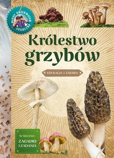 Królestwo grzybów