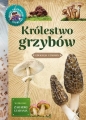 Królestwo grzybów - Hanna Będkowska