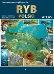 Ilustrowana encyklopedia ryb - Grabowska Joanna, Grabowski Michał 