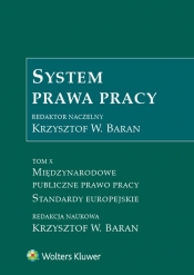 System prawa pracy Tom 10