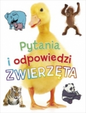 Pytania i odpowiedzi. Zwierzęta - Opracowanie zbiorowe