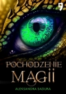 Pochodzenie magii Aleksandra Sadura