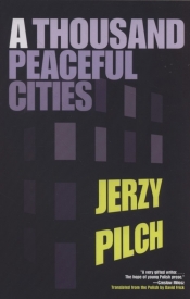 A Thousand Peaceful Cites - Jerzy Pilch