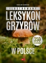 Ilustrowany leksykon grzybów w Polsce Wiesław Kamiński