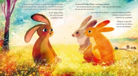 Welurowy Królik - Sophie Cashell, Margery Williams, David Litchfield