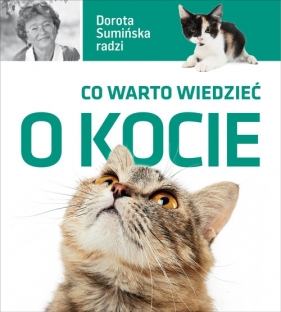 Co warto wiedzieć o kocie - Sumińska Dorota