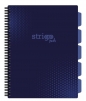 Kołozeszyt Strigo Pads Project Book A4 kratka Basic - Niebieski