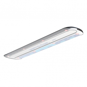 Linijka Griffix 15cm