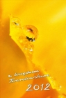 Kalendarz 2012 z księdzem Twardowskim /żółty