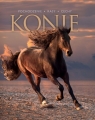 Konie