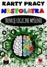 Karty pracy nastolatka. Trenuję logiczne myślenie Love Books Wileński