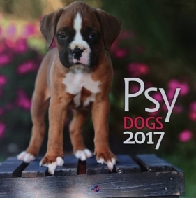 Kalendarz 2017 KD-20 ścienny duży Psy
