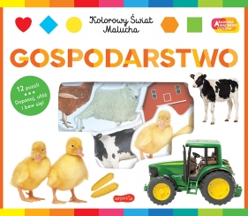 Gospodarstwo. Akademia mądrego dziecka. Kolorowy świat malucha - Opracowanie zbiorowe