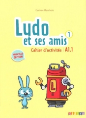 Ludo et ses amis 1 niveau A1.1 Ćwiczenia